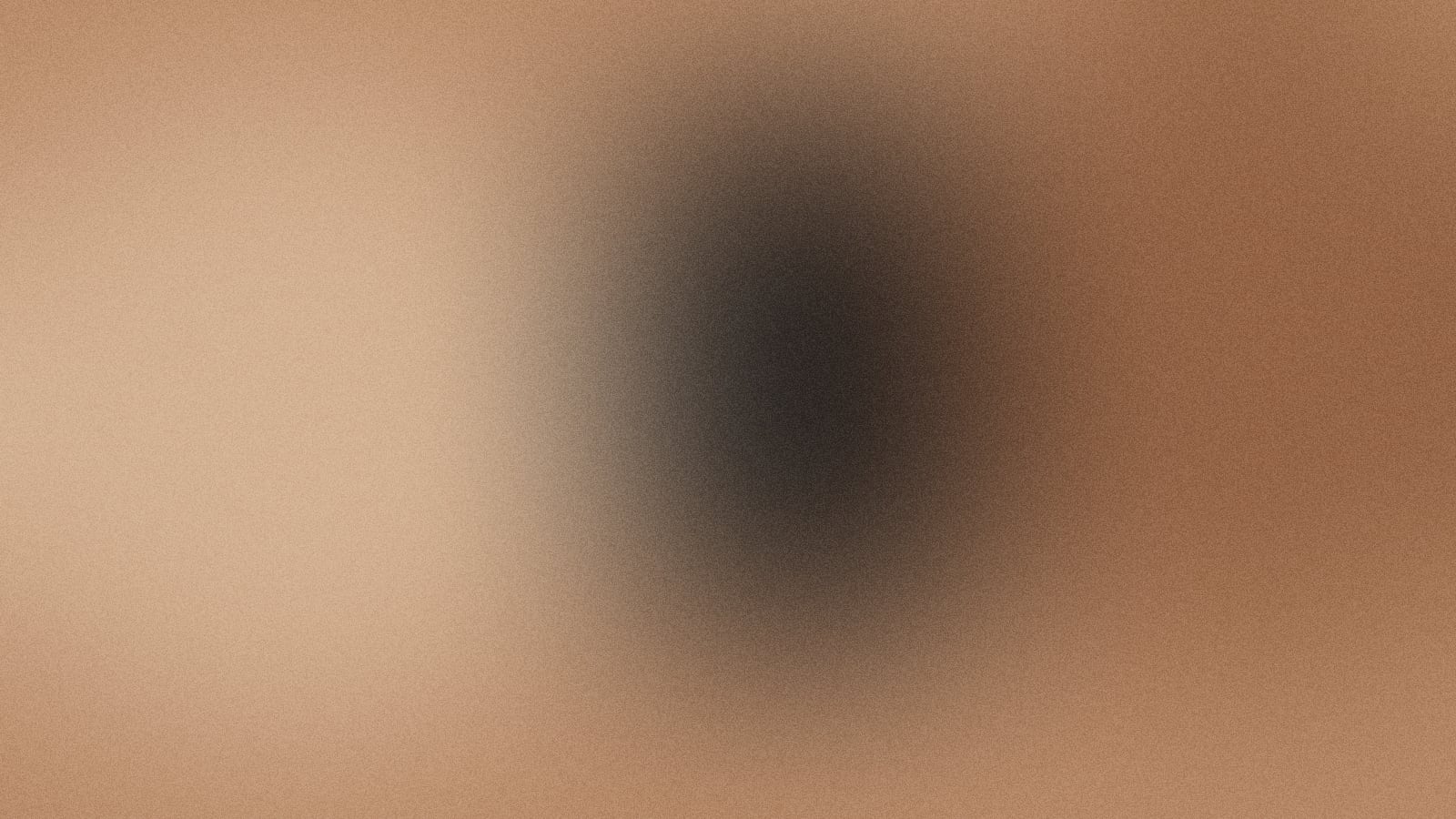 Placeholder image for the project programme.